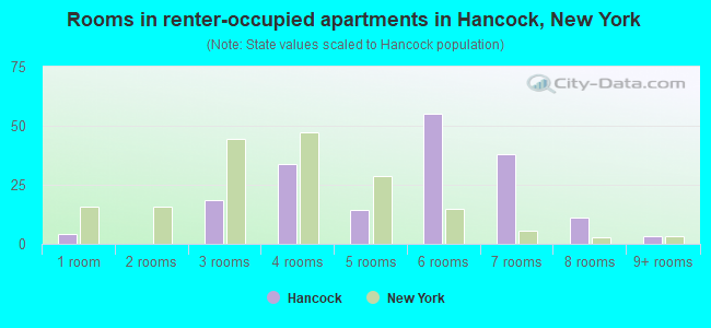 Rooms in renter-occupied apartments in Hancock, New York