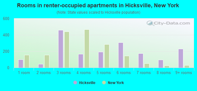 Rooms in renter-occupied apartments in Hicksville, New York