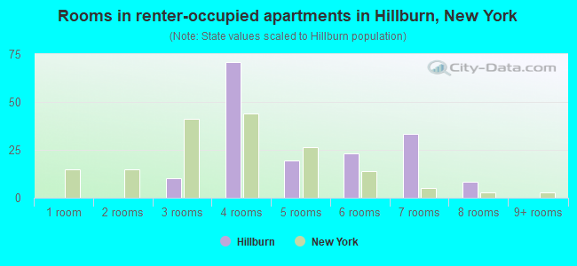 Rooms in renter-occupied apartments in Hillburn, New York