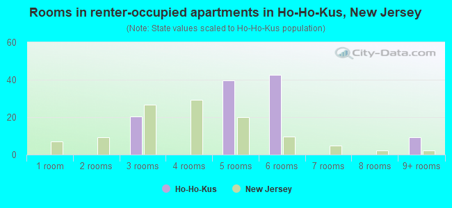 Rooms in renter-occupied apartments in Ho-Ho-Kus, New Jersey