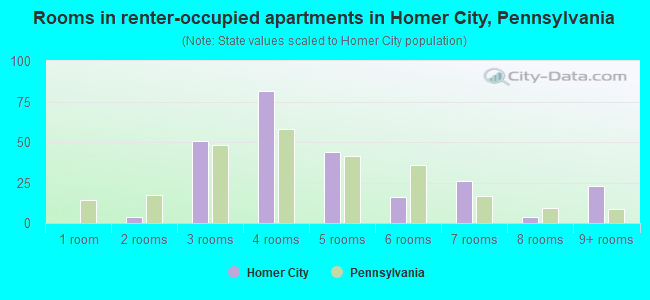 Rooms in renter-occupied apartments in Homer City, Pennsylvania