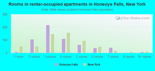 Rooms in renter-occupied apartments in Honeoye Falls, New York