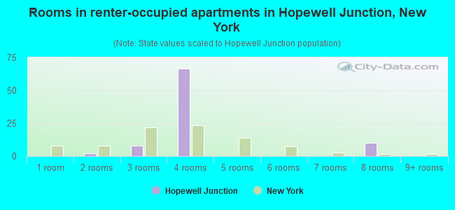 Rooms in renter-occupied apartments in Hopewell Junction, New York