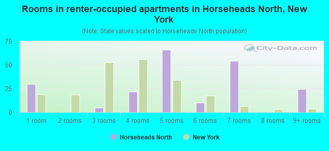Rooms in renter-occupied apartments in Horseheads North, New York