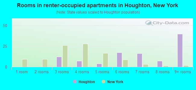 Rooms in renter-occupied apartments in Houghton, New York