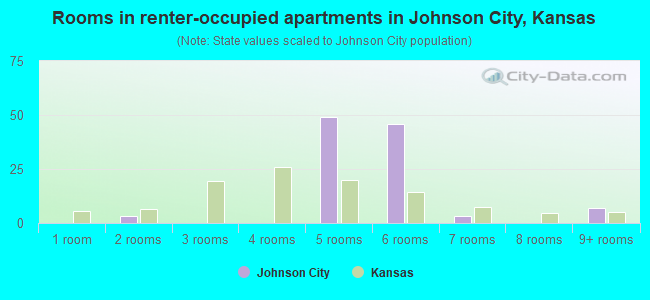 Rooms in renter-occupied apartments in Johnson City, Kansas