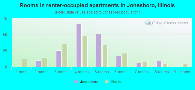 Rooms in renter-occupied apartments in Jonesboro, Illinois
