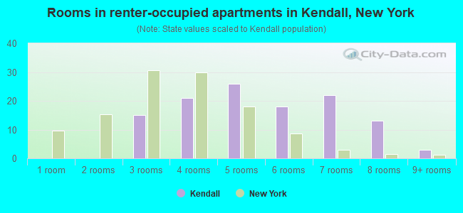 Rooms in renter-occupied apartments in Kendall, New York