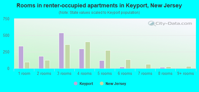 Rooms in renter-occupied apartments in Keyport, New Jersey