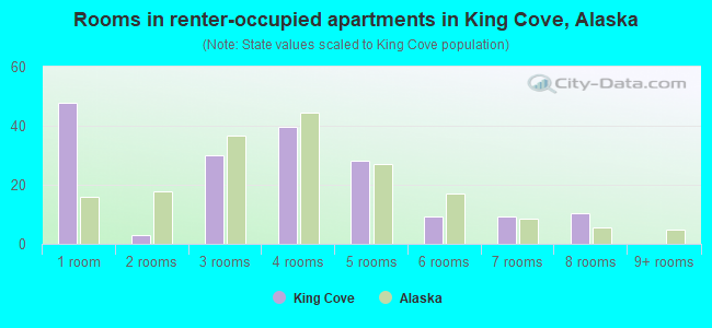 Rooms in renter-occupied apartments in King Cove, Alaska