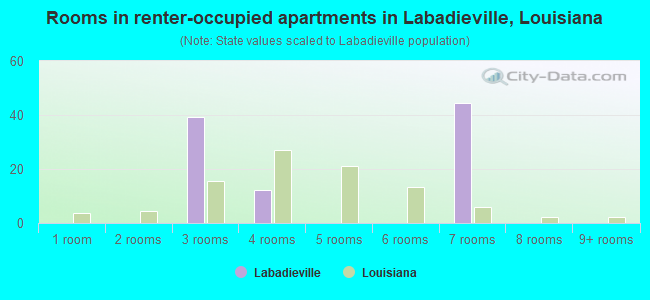 Rooms in renter-occupied apartments in Labadieville, Louisiana
