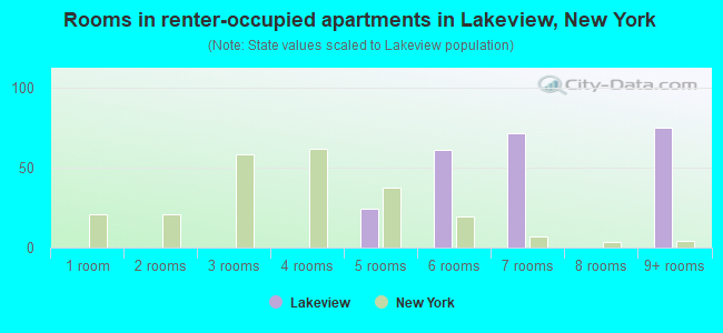 Rooms in renter-occupied apartments in Lakeview, New York