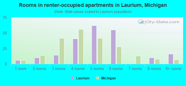 Rooms in renter-occupied apartments in Laurium, Michigan