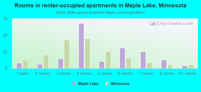 Rooms in renter-occupied apartments in Maple Lake, Minnesota