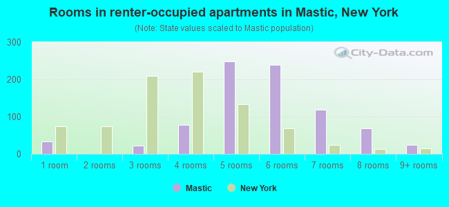 Rooms in renter-occupied apartments in Mastic, New York
