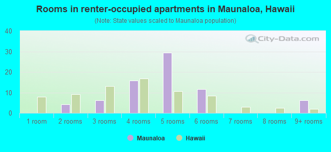 Rooms in renter-occupied apartments in Maunaloa, Hawaii