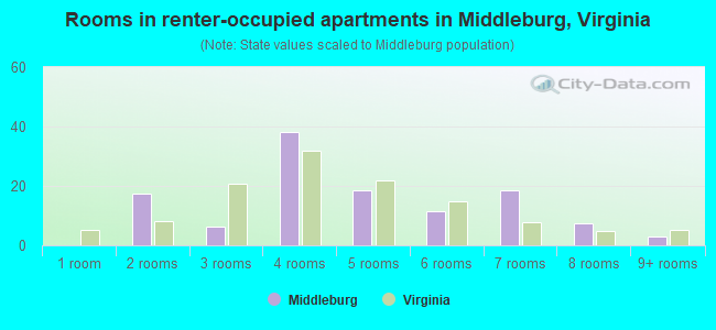 Rooms in renter-occupied apartments in Middleburg, Virginia