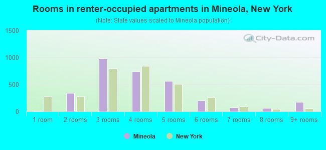 Rooms in renter-occupied apartments in Mineola, New York