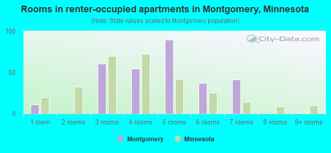 Rooms in renter-occupied apartments in Montgomery, Minnesota