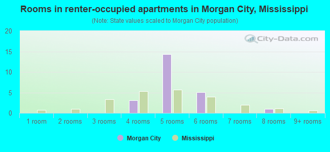 Rooms in renter-occupied apartments in Morgan City, Mississippi
