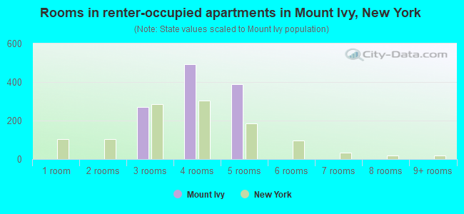 Rooms in renter-occupied apartments in Mount Ivy, New York
