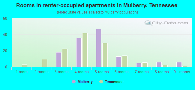 Rooms in renter-occupied apartments in Mulberry, Tennessee