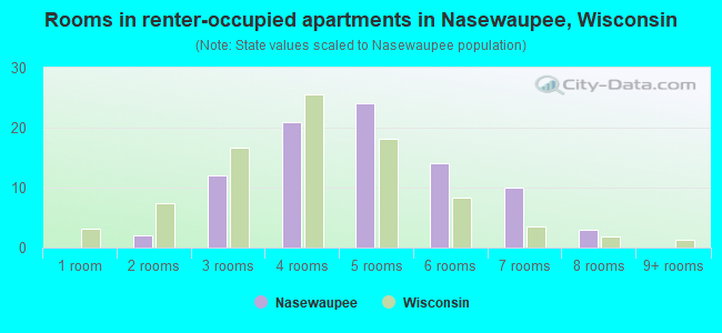 Rooms in renter-occupied apartments in Nasewaupee, Wisconsin