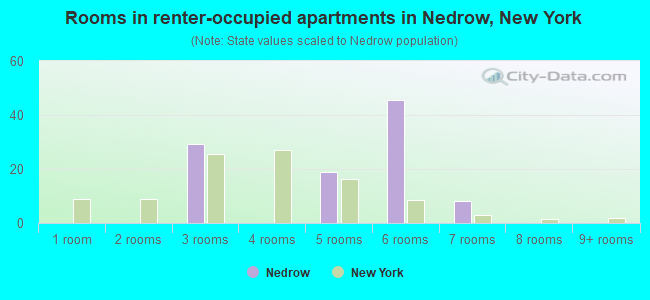 Rooms in renter-occupied apartments in Nedrow, New York