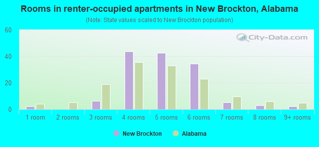 Rooms in renter-occupied apartments in New Brockton, Alabama