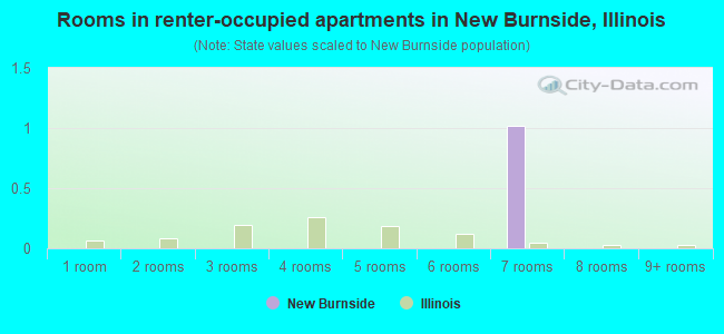 Rooms in renter-occupied apartments in New Burnside, Illinois