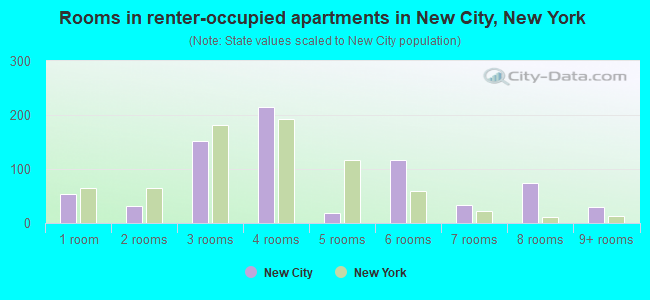 Rooms in renter-occupied apartments in New City, New York
