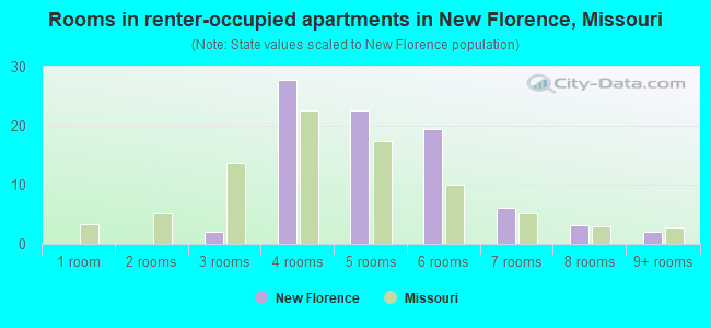 Rooms in renter-occupied apartments in New Florence, Missouri