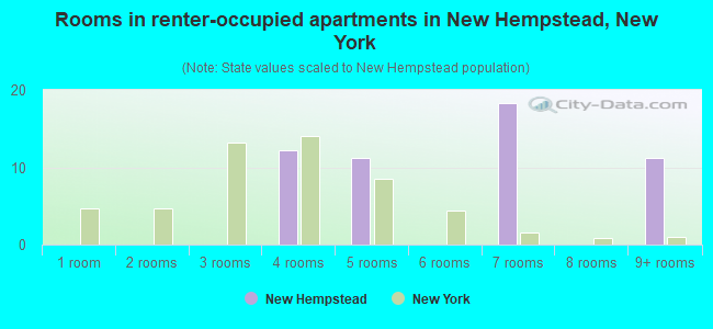 Rooms in renter-occupied apartments in New Hempstead, New York