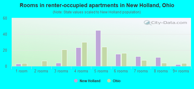 Rooms in renter-occupied apartments in New Holland, Ohio