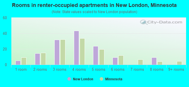 Rooms in renter-occupied apartments in New London, Minnesota