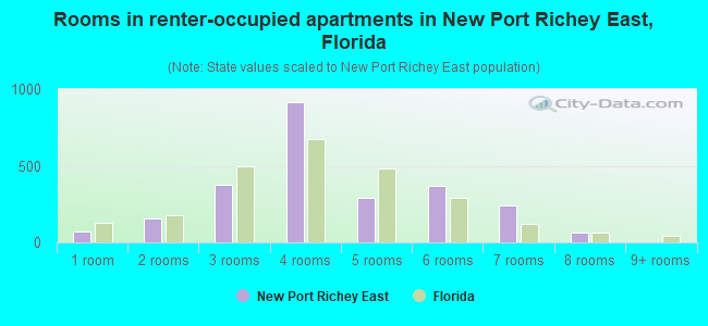 Rooms in renter-occupied apartments in New Port Richey East, Florida