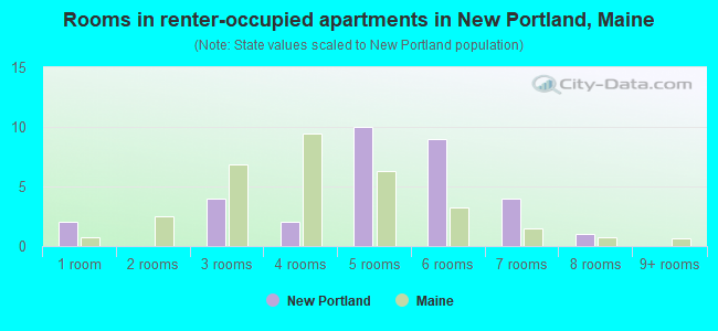 Rooms in renter-occupied apartments in New Portland, Maine