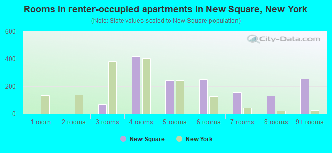 Rooms in renter-occupied apartments in New Square, New York