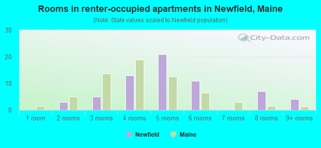 Rooms in renter-occupied apartments in Newfield, Maine