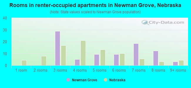 Rooms in renter-occupied apartments in Newman Grove, Nebraska