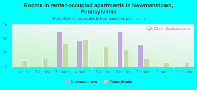 Rooms in renter-occupied apartments in Newmanstown, Pennsylvania