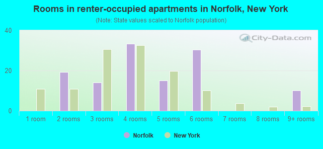 Rooms in renter-occupied apartments in Norfolk, New York