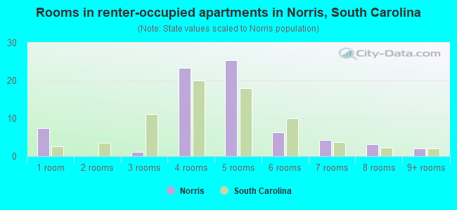 Rooms in renter-occupied apartments in Norris, South Carolina