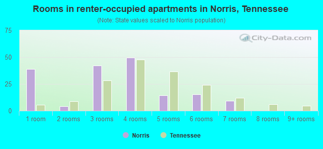 Rooms in renter-occupied apartments in Norris, Tennessee