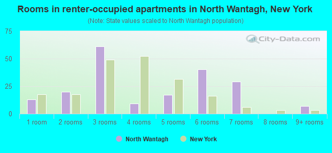 Rooms in renter-occupied apartments in North Wantagh, New York