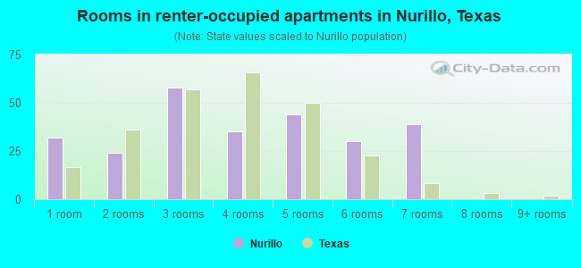 Rooms in renter-occupied apartments in Nurillo, Texas