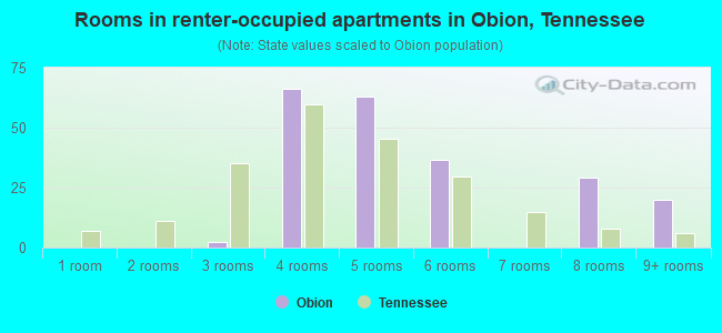 Rooms in renter-occupied apartments in Obion, Tennessee