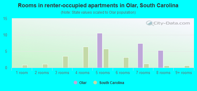 Rooms in renter-occupied apartments in Olar, South Carolina