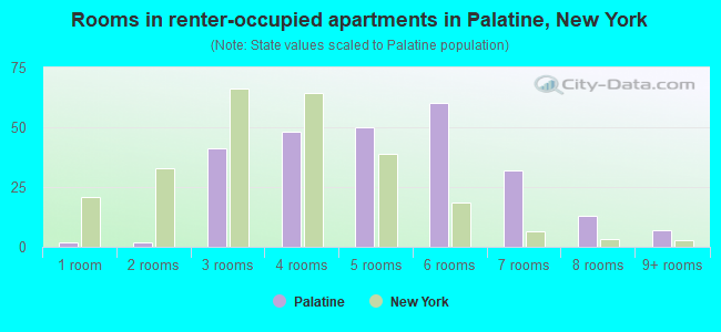 Rooms in renter-occupied apartments in Palatine, New York