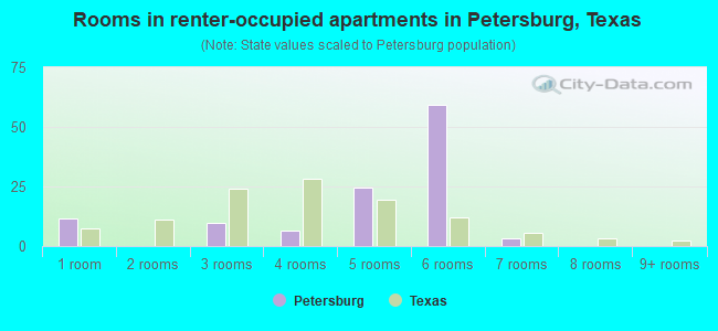 Rooms in renter-occupied apartments in Petersburg, Texas
